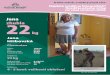 Jana zhubla 22 - vasedieta.cz · vové poradně NATURHOUSE v Chomu-tově shodila za půl roku 22kilogramové závaží. Na první fotografii jsem v roce 2012 s dětmi na ozdravném