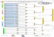 Campeonato de Espana Universitario 2018 -60 kg - Campeonato de Espana...  Campeonato de Espana Universitario