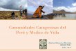 Comunidades Campesinas del Perú y Medios de Vidacongresoparamos.minambiente.gov.co/images/documentos/presentaci... · Orígenes de la comunidad campesina e indígena En el TAHUANTINSUYO,