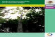 Árboles de la Selva Lacandona útiles para la restauración ...centro.paot.org.mx/documentos/conafor/Arboles-Selva-Lacandona.pdf · A los lacandones Manuel Castellanos Chank’in