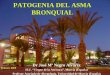 PATOGENIA DEL ASMA BRONQUIAL - alergomurcia.com · Enun estudio llevado a cabo por Chetta A y cols (Chest 1997), Se ha observado que el grosor de la membrana basal más la ... Estudio