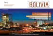 BOLIVIA - Igminvestments · La economía boliviana se basa principalmente en la minería, la . ... banca boliviana. Banco Nacional de Bolivia 14,78%; Banco BISA 11,42%, Banco de Crédito