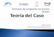 Teoría del Caso - abaroli.mxabaroli.mx/wp-content/uploads/2015/03/2-Teoría-del-Caso.-Curso-en... · debe desarrollar un litigante frente a un caso, ... PROGRAMA EN MÉXICO DE APOYO