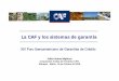 La CAF y los sistemas de garantía - redegarantias.comredegarantias.com/archivos/web/ficheros/2010/01-salvador-bahia... · Uruguay Bolivia Paraguay Argentina Ecuador México Brasil
