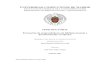 UNIVERSIDAD COMPLUTENSE DE MADRID - eprints.ucm.eseprints.ucm.es/44226/1/T39075.pdf · Las bibliotecas en el sector cuaternario: Economía, investigación, innovación e información,