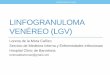 LINFOGRANULOMA VENÉREO (LGV) - academia.cat · INGUINAL: Linfadenopatía + úlcera (> frecuente en heterosexuales) ANORRECTAL: Proctitis o proctocolitis (> frecuente en HSH) Linfogranuloma