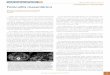 DIAGNÓSTICO POR IMAGEN Paniculitis mesentéricamgyf.org/wp-content/uploads/2017/revistas_antes/V3N3/V3N3_92_97.pdf · vación de los reactantes de fase aguda (VSG 11 y PCR 0,3) 