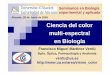 Alicante, 20 de Junio de 2008 Ciencia del color multi-espectral … · 2010-10-14 · conversión de radiación UV o IR a VIS Goniocromatismo: Cambio de color según dirección de