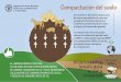 Compactación del suelo - fao.org · Compactación del suelo Incremento en densidad y disminución de macro-porosidad en el suelo que perjudica las funciones del mismo e impide la