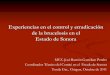 El control y la erradicación de la brucelosis en el Estado ...conasamexico.org.mx/conasa/2011_docs_19a_reunion/201110_24-lunes/... · El programa de vigilancia incluye la prueba