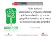Presentación de PowerPoint - OSINFOR · Taller Nacional Socialización y articulación forestal y de fauna silvestre, en la zona geográfica fronteriza, en el marco de la cooperación