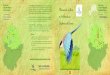El Socios del Extremadura Observación de Aves ... - Estudio · Cuaderno de Campo. El Club Birding in Extremadura se crea con el propósito de ... Torrejón el Rubio Malpartida de