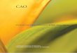 CAO AR05 Spanish · adicionales de la función de auditoria serán de gran utilidad para la CFI y el ... La CAO tiene tres papeles distintos: ... relacionado a proyectos sensibles,