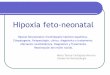 Hipoxia fetoneonatal: Encefalopatía hipóxico-isquémica ... ogyp/Clases teoricas 2014 2015/Neonatologia/Hipoxia... ·