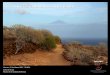 La Gomera, la isla colombina con un par de botas · moraba en los roques volcánicos; de los primeros hippies de España ( y quizá del mundo) ... Diapositiva 1 Author: Usuario Created