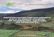 Aproximación agroecológica para el nuevo modelo de ...sian.inia.gob.ve/pdfpnp/Aproximaciones_Agroecologicas.pdf · pimentón y zanahoria. ... la agresividad de las lluvias y su