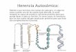 Herencia Autosómica - medicinafortyone.files.wordpress.com · Neurofibromatosis: Es un trastorno hereditario en el cual se forman tumores (neurofibromas) en los tejidos nerviosos