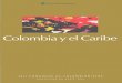 COLOMBIA Y EL CARIBE - ciruelo.uninorte.edu.cociruelo.uninorte.edu.co/pdf/BDC18.pdf · Siglo XIX: carnaval de pequeña sociedad, carnaval de villorrio y ﬁestas públicas, 231. Notas,