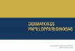 DERMATOSES PAPULOPRURIGINOSAS - drluizporto.com.brdrluizporto.com.br/wp-content/uploads/2017/03/DERMATOSES... · nervosas tipo C transmitem estímulos ... Capsaicina 0,006% TID por