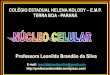 Professora Leonilda Brandão da Silva · −Todas as células possuem núcleo? −Que tipo de célula possui núcleo? ... O cromossomo que aparece em duplicata na fêmea chama-se