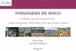 PAISAGENS DE BACO - Agência Portuguesa do Ambiente · A paisagem na promoção das entidades vitivinícolas e turísticas; ... Práticas agro-ambientais Novas adegas . CONCLUSÕES