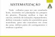 SISTEMATIZAÇÃO mecanizada 2013 Jonas.pdf · Conclusão: Os níveis de perdas na colheita mecanizada da cana-de-açúcar são elevados e difíceis de serem estimados, no campo, com