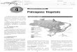 I Complexas - terras / FrontPageterras.pbworks.com/f/folha_Biomas_Brasil.pdf · Formações Florestais _ Mata Amazônica ... Floresta Amazônica ou Hiléia, essa formação ocupa