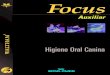 Higiene Oral Canina - Royal Canin - Conteúdoconteudo.royalcanin.com.br/upload/Focus_Aux_ Higiene Oral_4.pdf · A cárie dental é um assunto completamente diferente e muito raro
