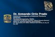 Dr. Armando Ortiz Prado - Inicio de sesión Ingeniería · Dr. Armando Ortiz Prado Unidad de Investigación y Asistencia Técnica en Materiales Facultad de Ingeniería, UNAM Laboratorios