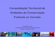 Consolidação Territorial de Unidades de Conservação ... · e específicos de cada Unidade de Conservação. As 310 unidades de conservação federais do Brasil abrangem a um território