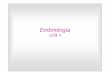 IWLA Embriologia II.2013 [tryb zgodności] - pum.edu.pl · Embriologia część II. Konsekwencje zapłodnienia qStymulacja oocyta II rzędu do ukończenia II podziału mejotycznego