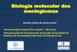 Biologia molecular dos meningiomas - araujoefazzito.com.braraujoefazzito.com.br/wp-content/uploads/2017/09/Biologia-molecular... · Biologia molecular dos meningiomas ... atividade