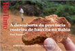 A descoberta da província costeira de bauxita na Bahia · princípios chave para manter nossa reputação e sucesso. ... exploradores de classe mundial Chile: Av. Presidente Riesco