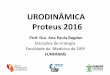 URODINÂMICA Proteus 2016 - rvmais.com.brrvmais.com.br/homologacao/proteus/2016/aulas/09-04/09-04 - 08H30... · Hiperfluxos em mulheres podem indicar uma deficiência esfincteriana