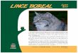 LINCE BOREAL lynx - Zoo de Guadalajara BOREAL.pdf · do con la madre unos meses hasta finalizar su aprendizaje en la caza. Esta especie no está en peligro de desaparecer como le