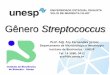 Apresentação do PowerPoint - ibb.unesp.br · Gênero Streptococcus Departamento de Microbiologia e Imunologia Instituto de Biociências –UNESP Tel. 14 3880. 0412 ary@ibb.unesp.br
