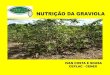 NUTRIÇÃO DA GRAVIOLA - ceplac.gov.br · Irrigação da Graviola -Irrigação• A gravioleira, como espécie natural do trópico úmido, necessita de água para crescer e produzir