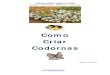Como Criar Codornas - bonscursos.com · Coturnix, conhecida como codorna européia ou selvagem. Com a introdução desta ave no Japão e, através de cruzamentos, surgiu então a