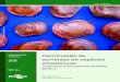 Germinação de sementes de espécies amazônicasainfo.cnptia.embrapa.br/digital/bitstream/item/178872/1/COM.TEC... · 2 Germinação de sementes de espécies amazônicas: acapurana