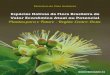 Espécies Nativas da Flora Brasileira de Valor Econômico Atual …ainfo.cnptia.embrapa.br/digital/bitstream/item/162348/1/Especies... · espécies do gênero Erythrina são usados