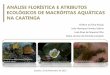 REGISTROS PIONEIROS DE MACR“FITAS AQUTICAS NA crad/arquivos/congressos/banner/Araujo_macro... 