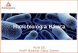 Microbiologia Básica · Reino Monera o Bactérias e Cianobactérias (cianofíceas ou algas azuis) ... o Tamanho . Bactérias Morfologia . Bactérias Classificação e estruturas