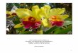ANTONIO ZACARELLI MARIA APARECIDA FERREIRA SUELY … · 4 APRESENTAÇÃO Bach, Minas, Agnes, Gaia, Califórnia, Austrália. Esses são seis dos mais famosos florais encontrados hoje