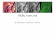 Visão humana - DECOM-UFOP | Início de Imagens... · Cor e visão humana ... •A córnea funciona como uma lente que ... melhora significativamente à medida que a iluminação