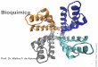 Bioquímica - azevedolab.netazevedolab.net/resources/bioquimica13.pdf · Elimination of the vesicular acetylcholine transporter in the ... tipo de transporte, a proteína envolvida