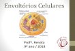 Envoltórios Celulares - santacecilia.com.br · Funções da Membrana Plasmática Revestimento Proteção e forma Permeabilidade Seletiva Modelo do Mosaico Fluído Modelo de Singer