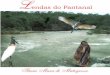 Lendas do Pantanal Lendas do Pantanal - graficabrasilia.com · Lendas do Pantanal 4 Editado na Gráfica e Editora Brasília Ltda Rua Ceará, 930 - Campo Gande - MS CEP 79.021-000