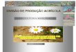 AGRICULTURA BIOLÓGICA - almanaqueacoriano.com · eficaz) anexo – listagem de alguns pontos de venda que representam fornecedores com produtos para a agricultura biolÓgica concelhos