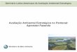 Avaliação Ambiental Estratégica no Pantanal: Aprender-Fazendo · Seminário Latino-Americano de Avaliação Ambiental Estratégica Avaliação Ambiental Estratégica no Pantanal: