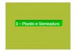 3 –Plantio e Semeadura - feis.unesp.br · 3.4 –Tipos de plantio e semeadura 3.4.1 -Plantio Utiliza mudas ou estruturas vegetativas e pode ser realizado em covas, sulcos ou a lanço